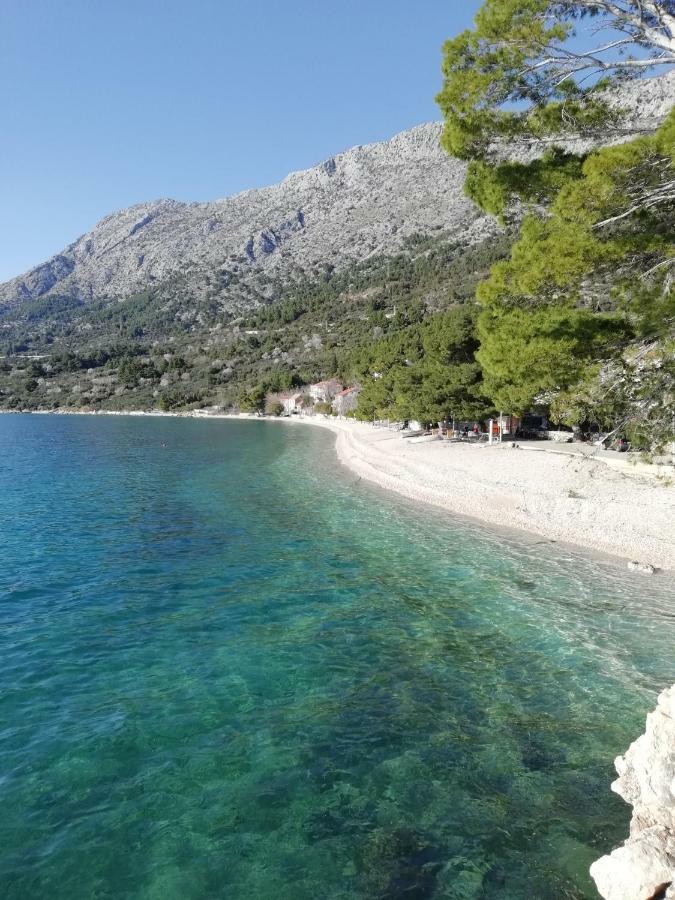 Apartment Villa Bajna Živogošće Eksteriør billede